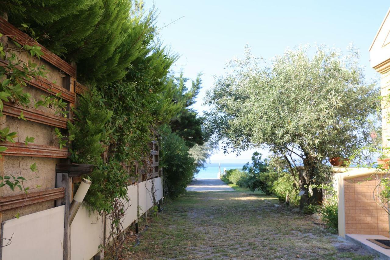 Villa Argo 3 - Beachfront, Big gardens, Location! Pefkochori Extérieur photo
