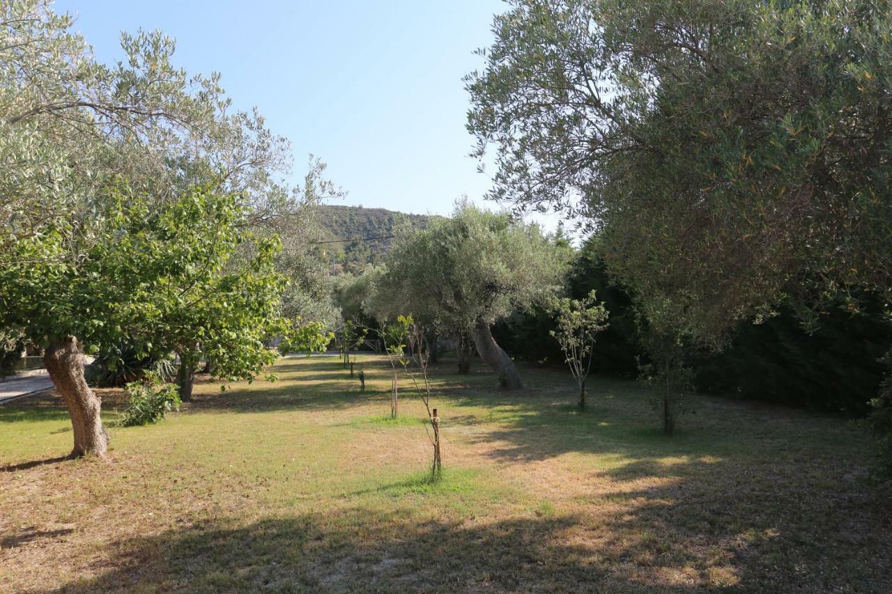 Villa Argo 3 - Beachfront, Big gardens, Location! Pefkochori Extérieur photo