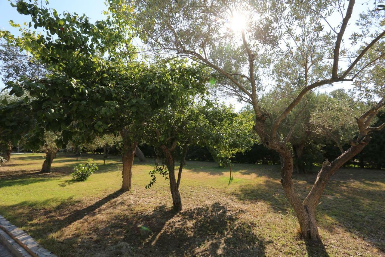 Villa Argo 3 - Beachfront, Big gardens, Location! Pefkochori Extérieur photo